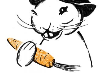 Piirroskuva Punni-pupusta porkkana kädessä, jonka alla lukee isoilla kirjaimilla Punni.